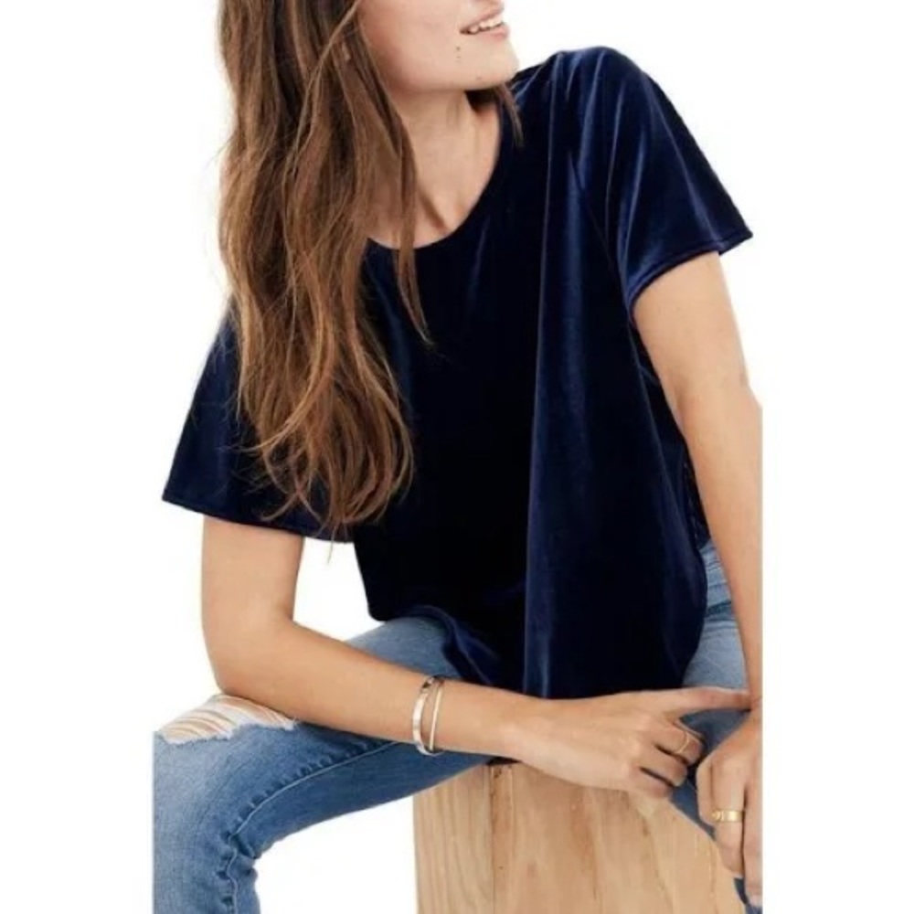 Madewell Blue Velvet Butterfly Short Sleeve Top